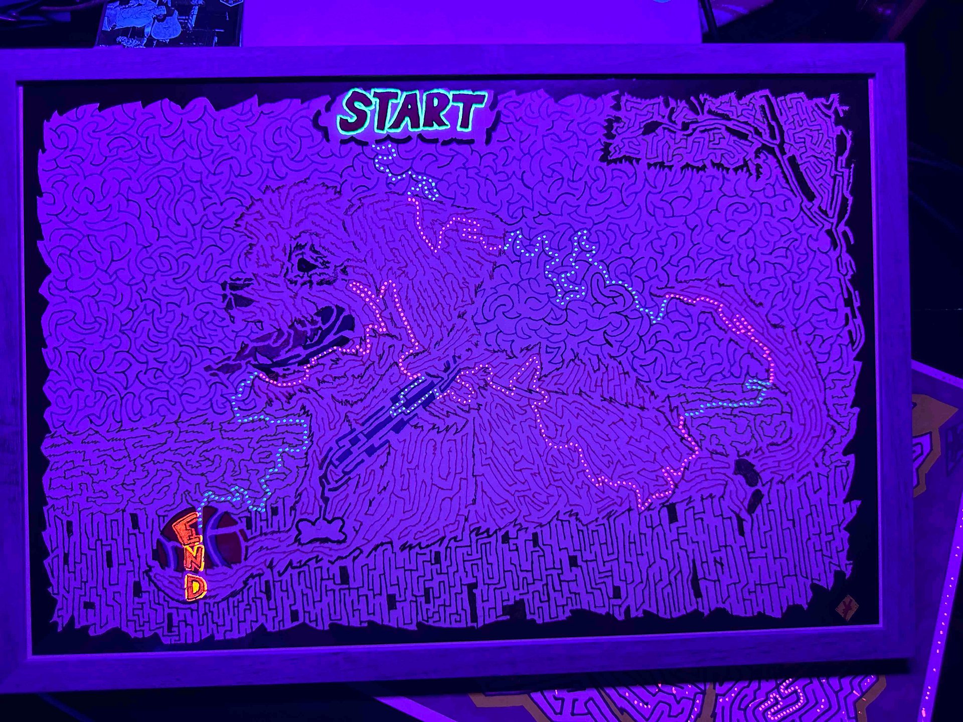 Dog Maze of Summer - Black Light Answer Key -Only- Version product image (1)