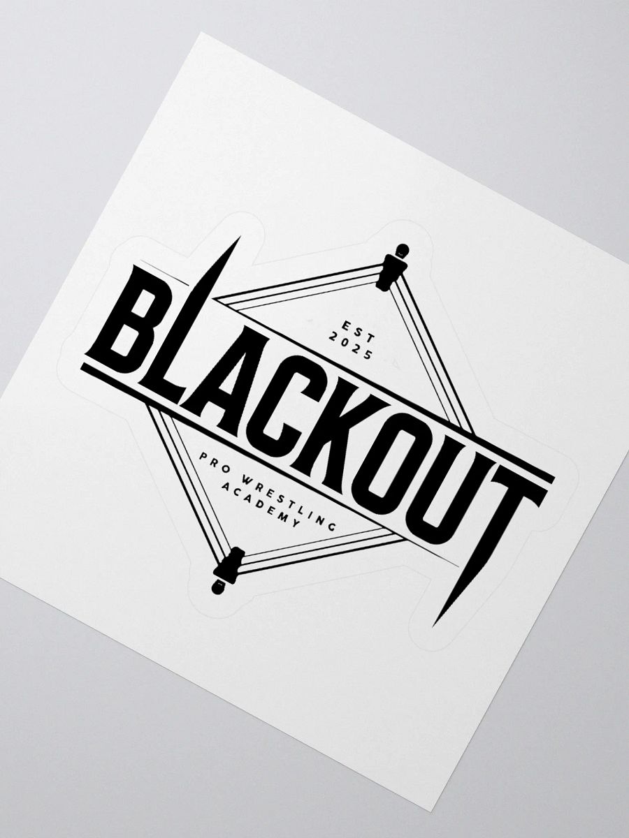DMW x BLACKOUT Sticker product image (5)
