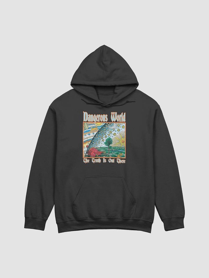 Find The Truth Hoodie product image (1)