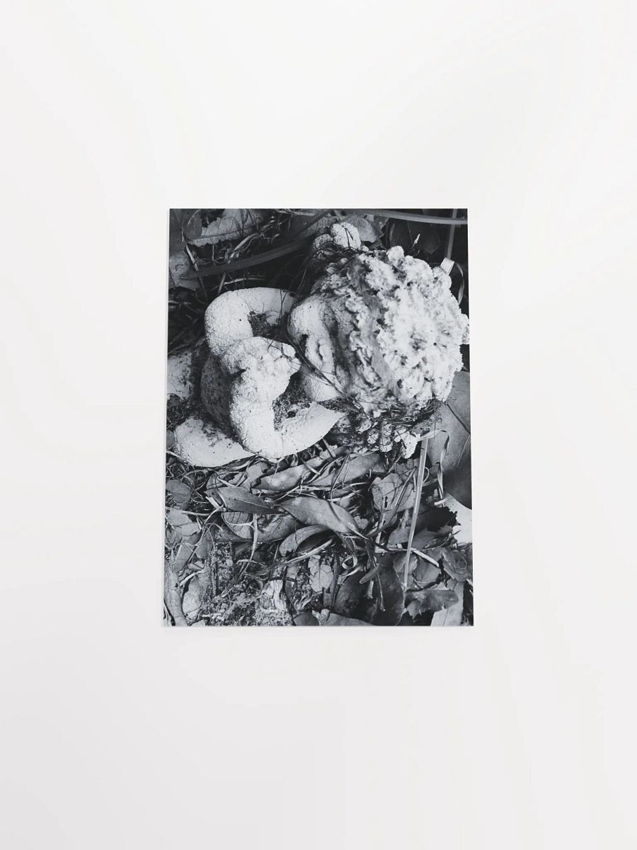 Angel of Decay product image (37)