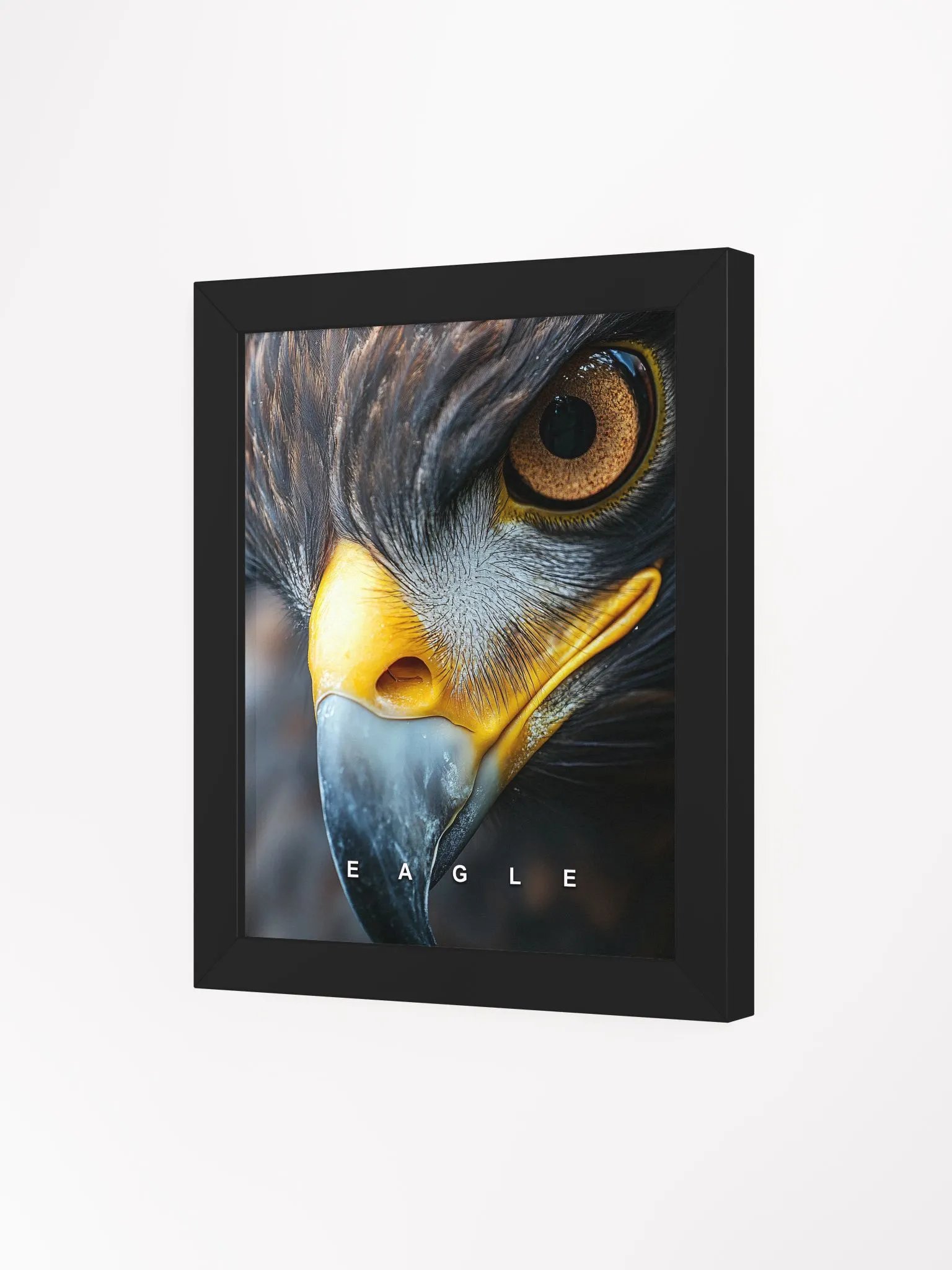 Eagle's Eye Matte Poster product image (24)