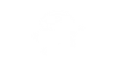 Cinnamon Switch