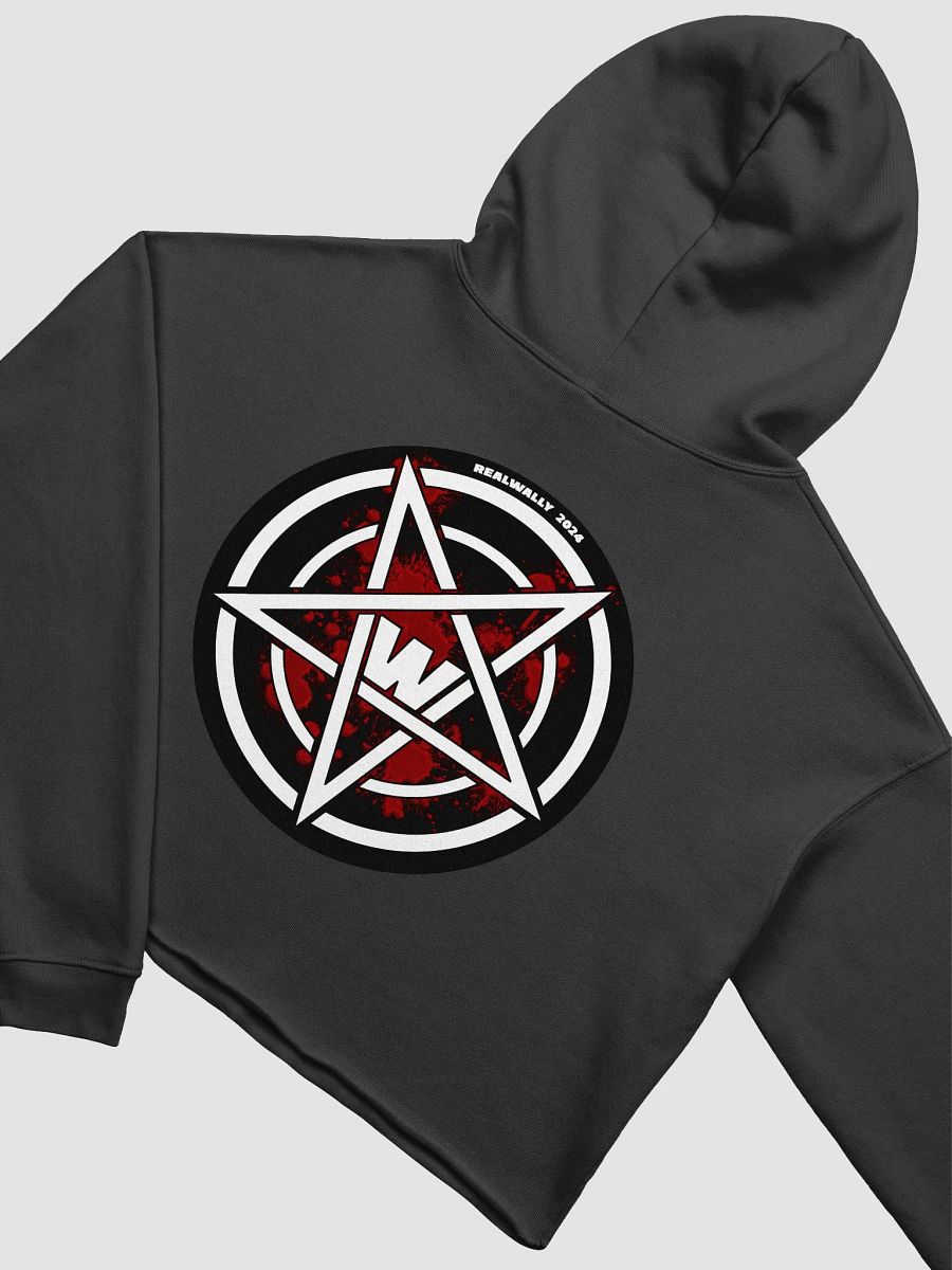 RealWally Fleece Crop Hoodie product image (4)