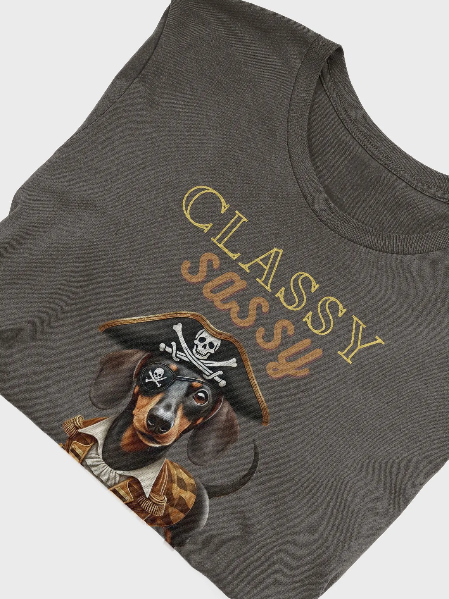 Classy, Sassy, Badassy Pirate T-Shirt product image (9)
