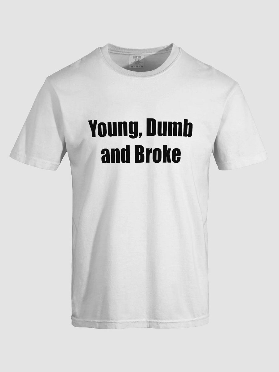 Young, Dumb and Broke product image (31)