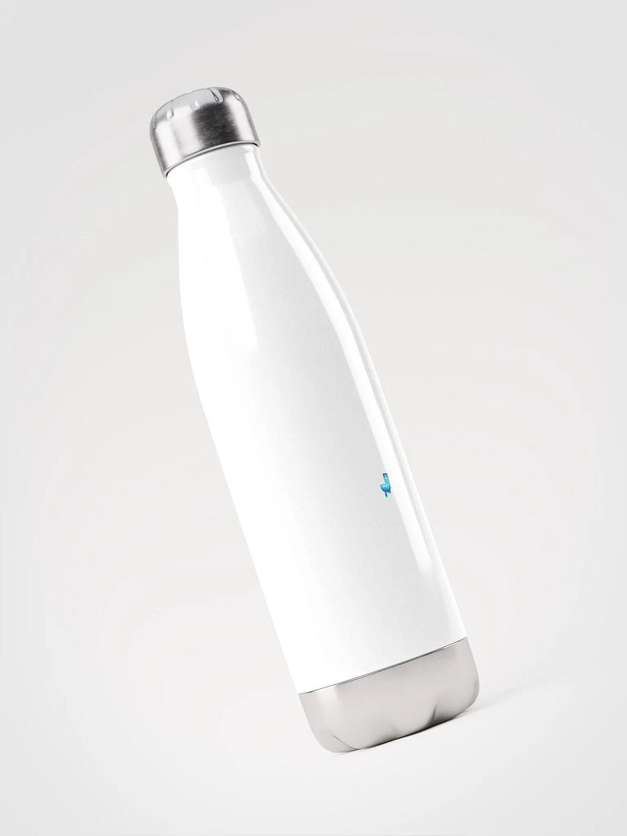Insulated Stainless Steel Water Bottle product image (3)
