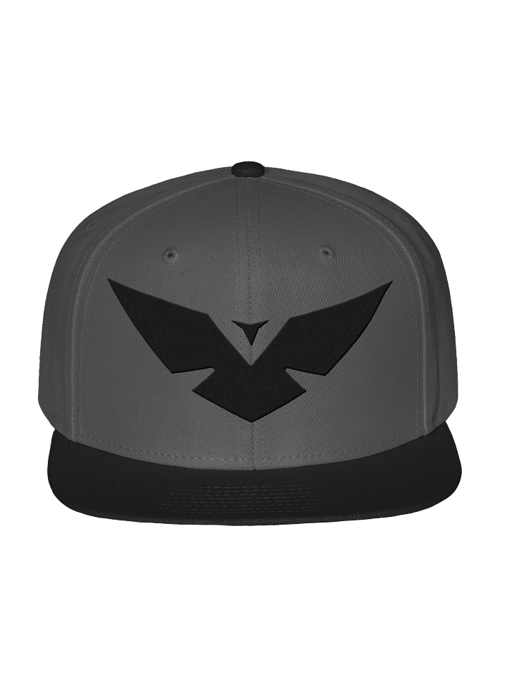 Black Logo Snapback product image (2)