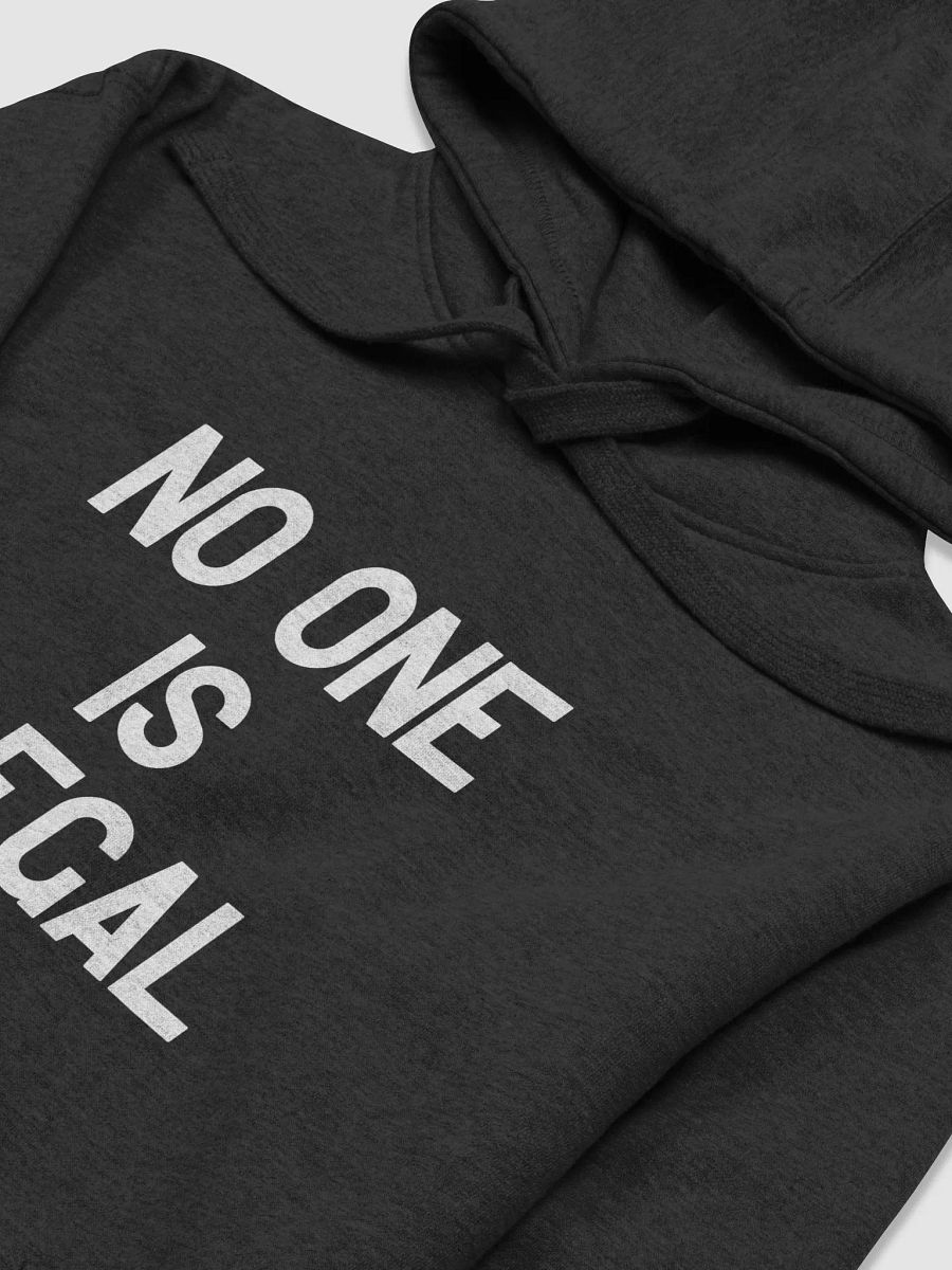 Pris-No One Is Illegal Cotton Heritage Unisex Premium Hoodie product image (29)