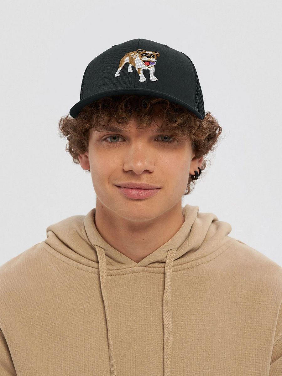 Bulldog Bull Dog With Ball Embroidered Playtime Snapback product image (39)