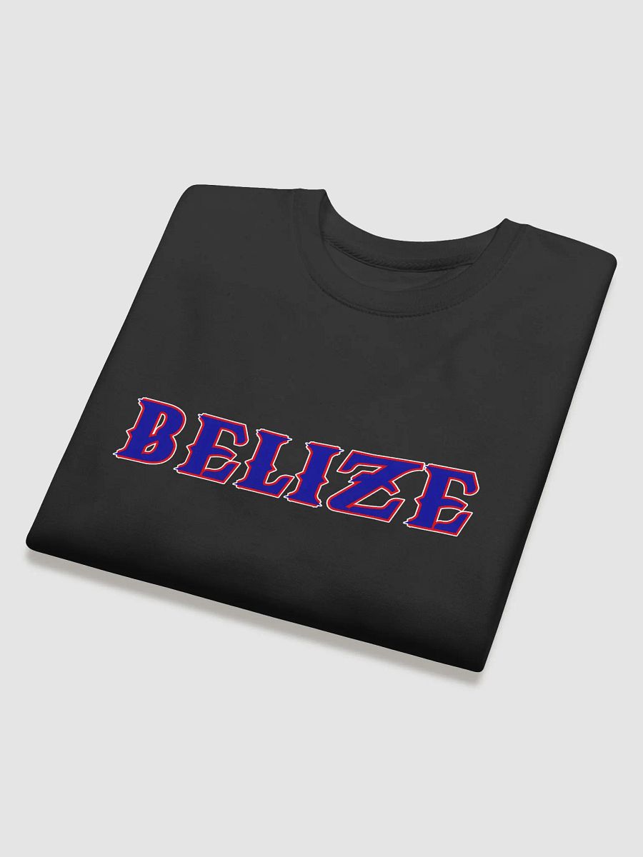 Belize Emblem Premium Sweatshirt product image (4)