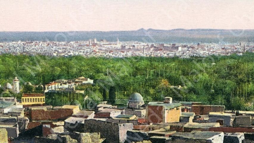 صورة : دمشق من بعيد 1908 product image (3)