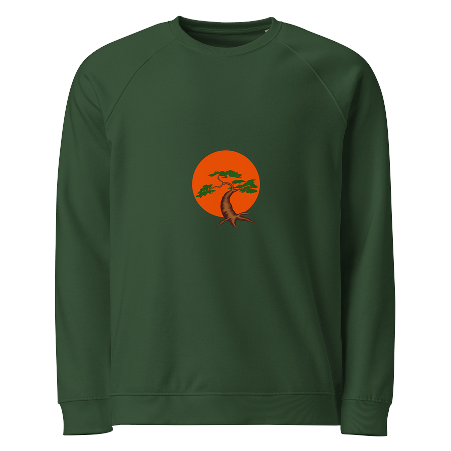 Nature's Tranquility Organic Raglan Sweatshirt product image (1)