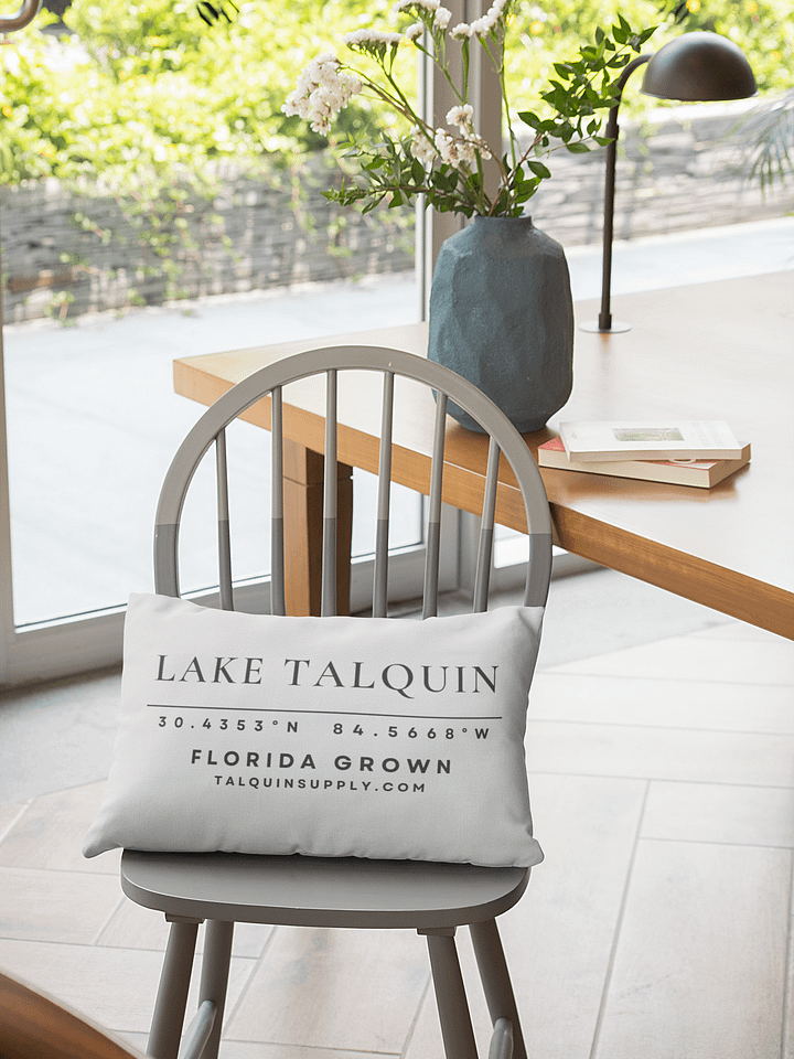 The Coordinates Pillow product image (1)