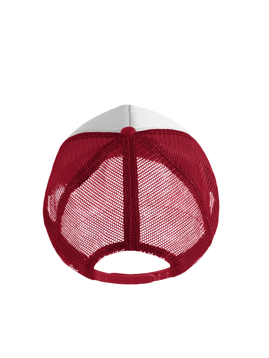 Pickleball Power Cat Hat – Funny Unisex Adjustable Cap with Fierce Orange Tabby Pickleball Smash Design product image (2)