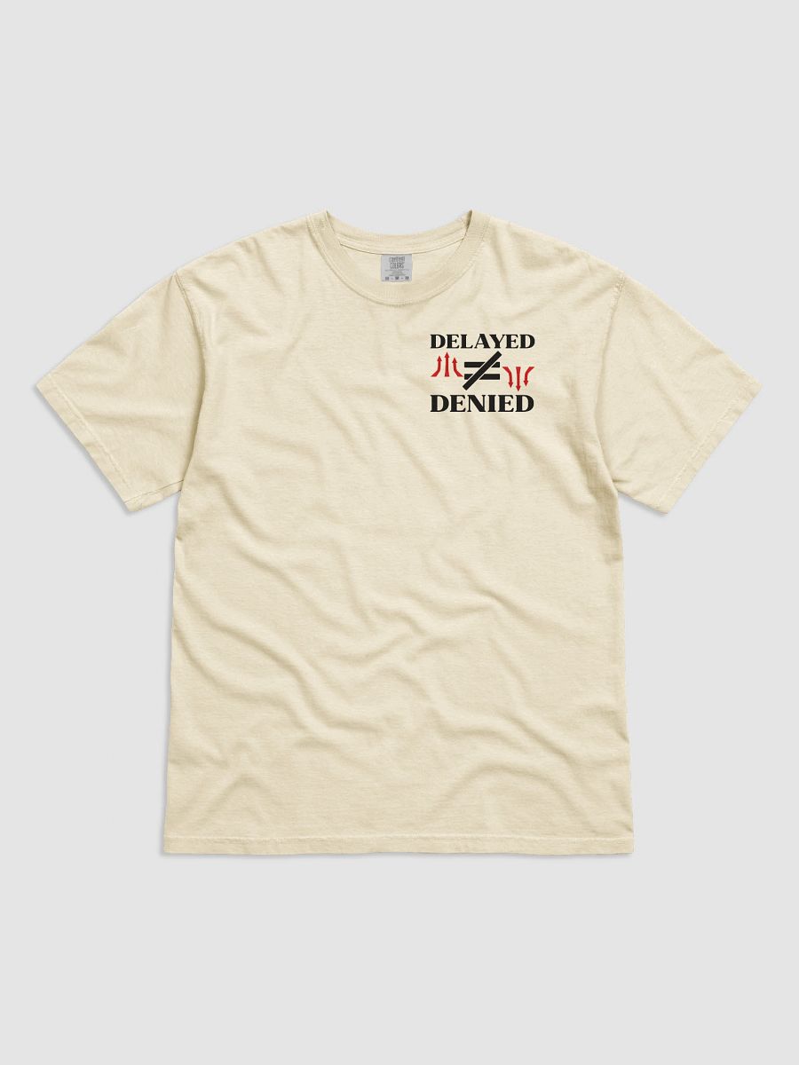 Delayed Not Denied Comfort Colors T-shirt. product image (2)