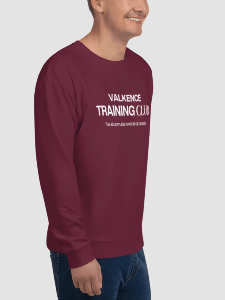 Training Club Sweatshirt - Plum product image (3)