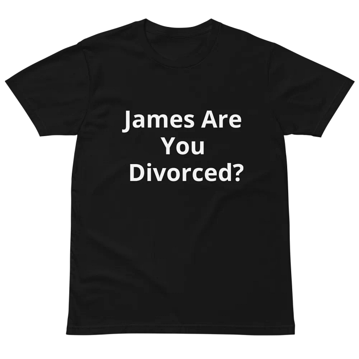 Pris-James Are You Divorced? STOP MUTING ME!!- AS Colour Unisex Premium T-Shirt product image (2)