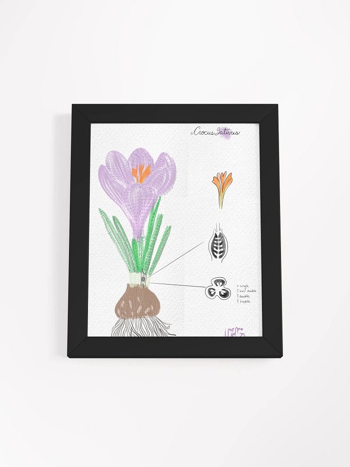 Crochet Vision: Crocus Framed Print product image (1)