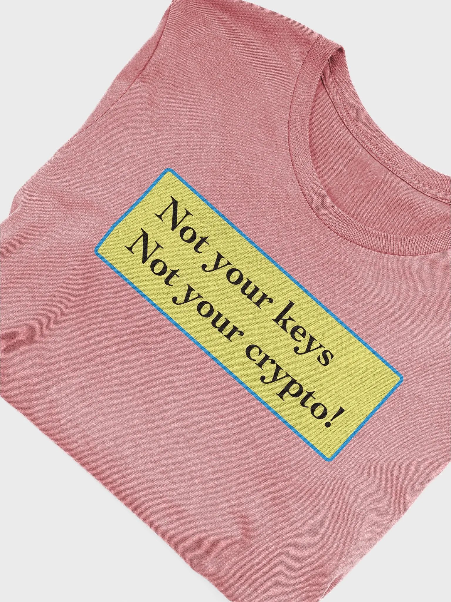 Not your keys, Not your crypto product image (4)