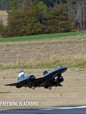 Quick touchdowns. Which one do you love best? Afterburners by @kmrcmodel #aviation #rc #rcplane #sr71 #blackbird