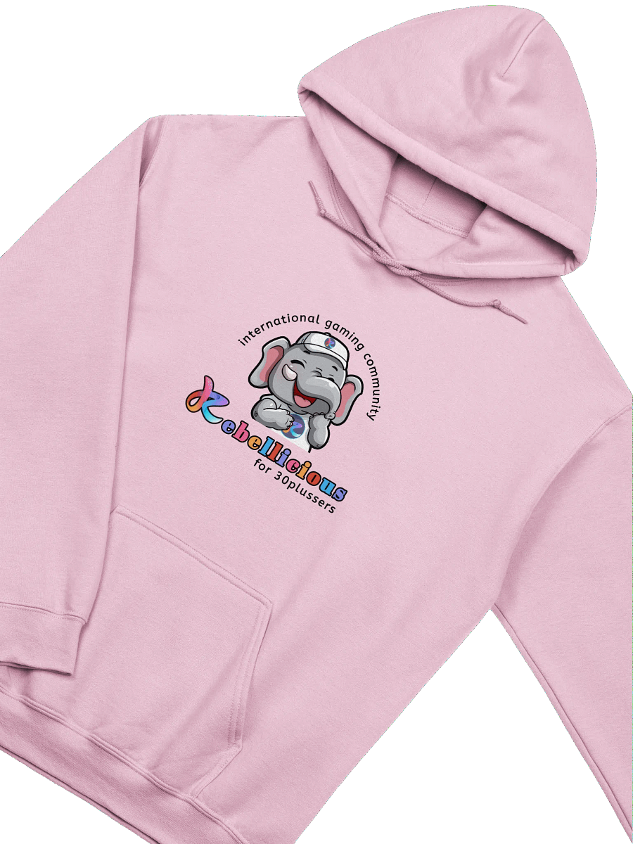 Gildan Classic Hoodie product image (2)