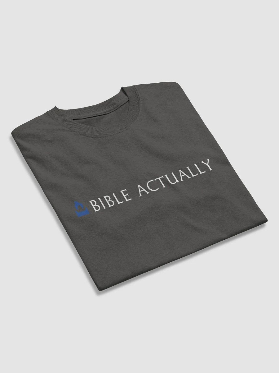 Bible Actually T Shirt product image (18)