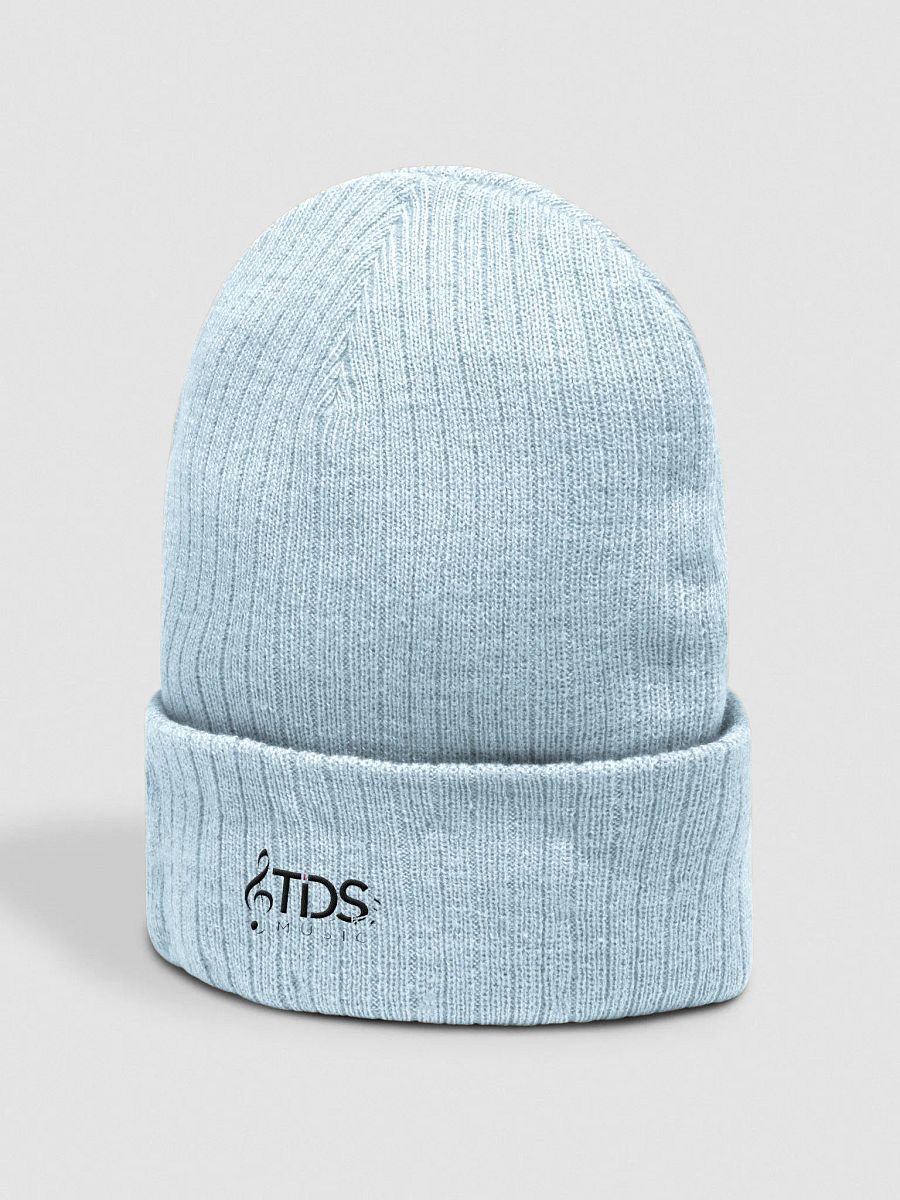 Atlantis Ribbed Knit Beanie - TDS Embroidered Beanie in Black, Maroon, Navy, Gray, Mustard, Light Blue, Olive, and Mint product image (31)