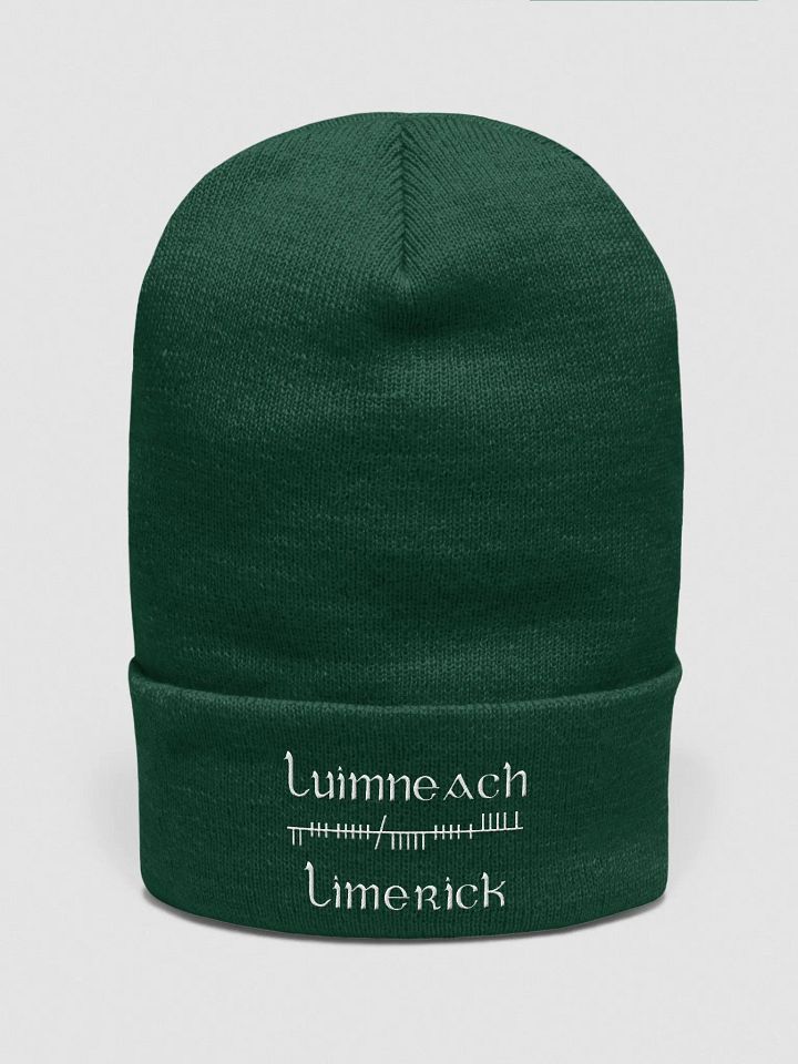 Limerick/Luimneach Orthodox Ogham, green with white, embroidered Cuffed Beanie product image (1)