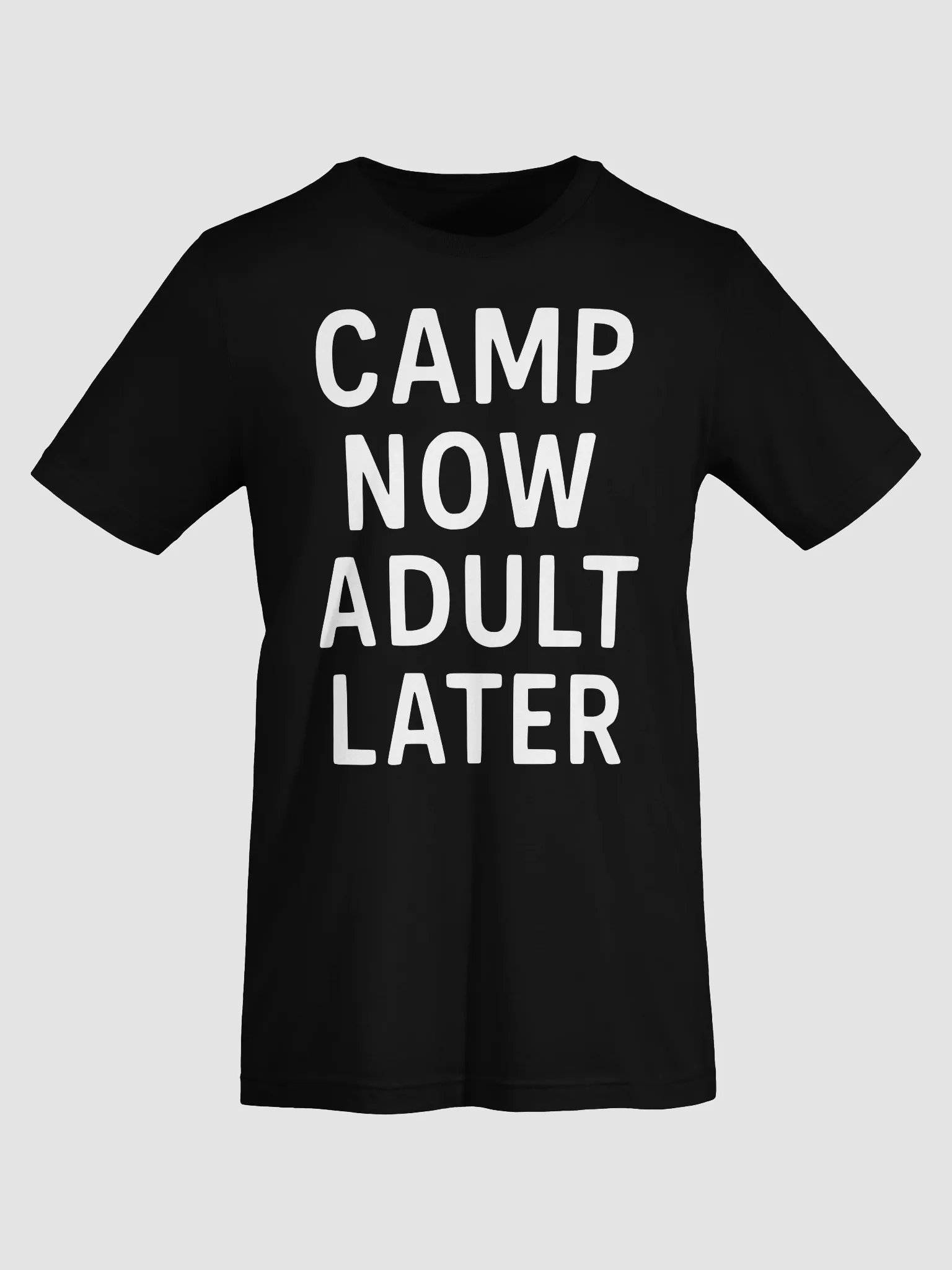 Camp Now Adult Later product image (8)