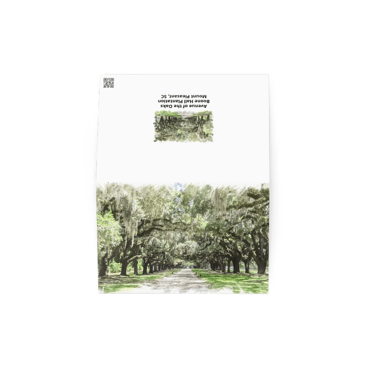 Avenue of the Oaks, Boone Hall Plantation Notecard product image (4)