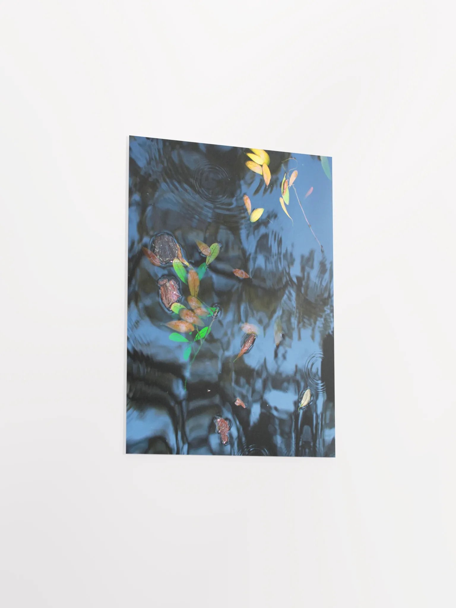 Musical Theatre product image (32)