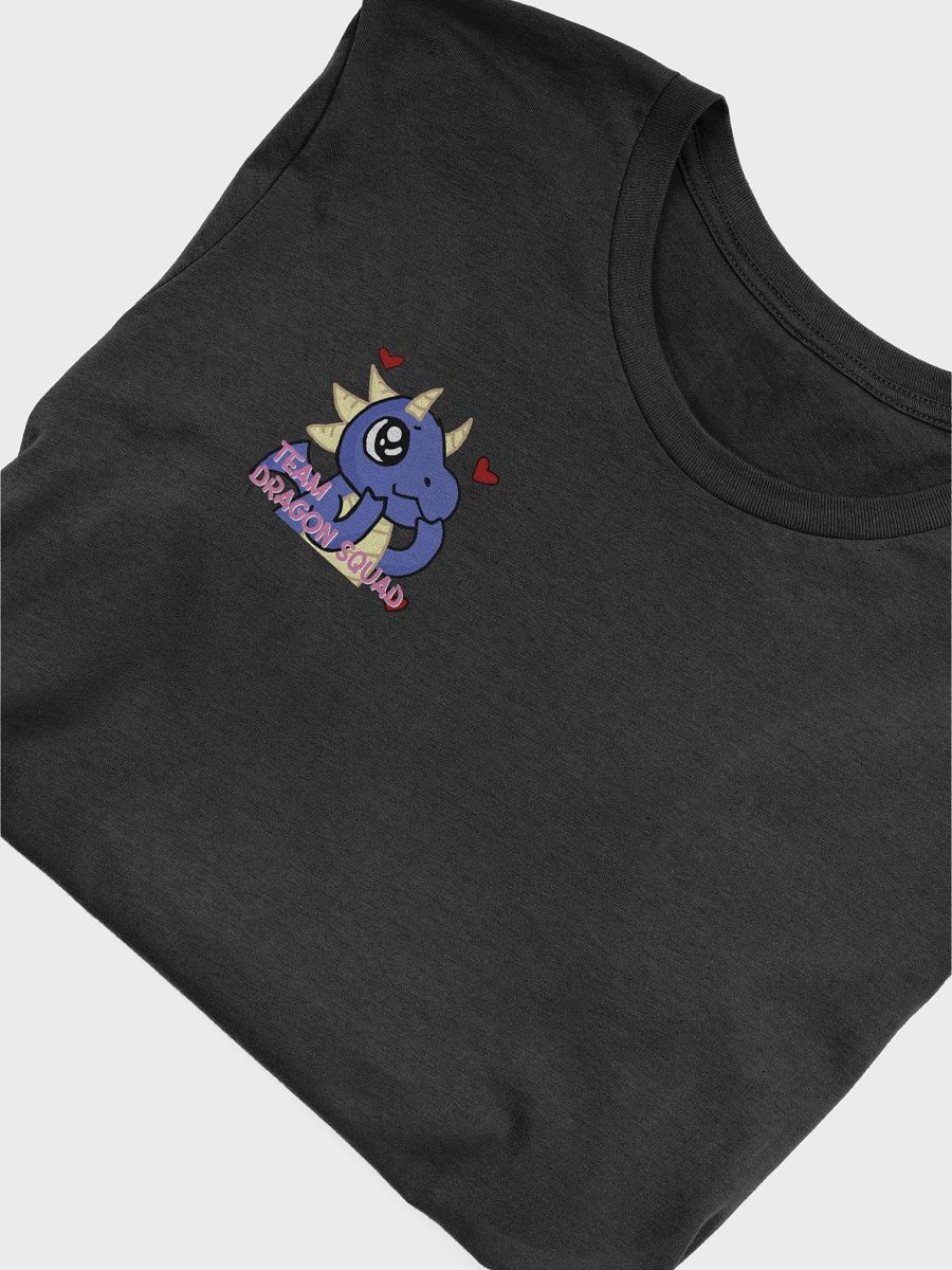 TEAM DS TEE product image (3)