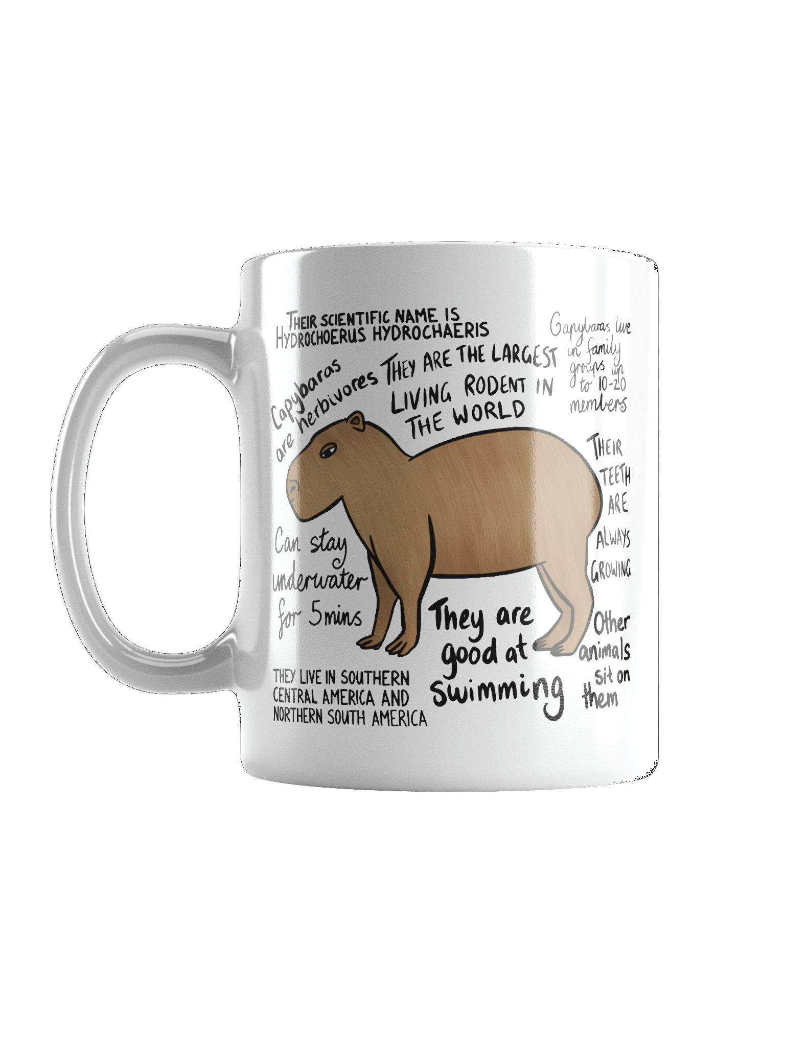 Capybara Facts Mug product image (1)