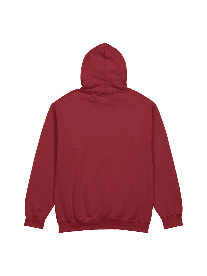 Lifestyle Culture Hoodie (Supporter Hoodie) product image (2)