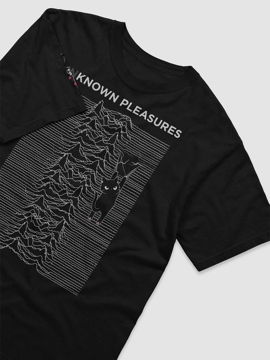 KITTEN'S UNKNOWN PLEASURES product image (3)
