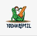 Yodha Reptil Store