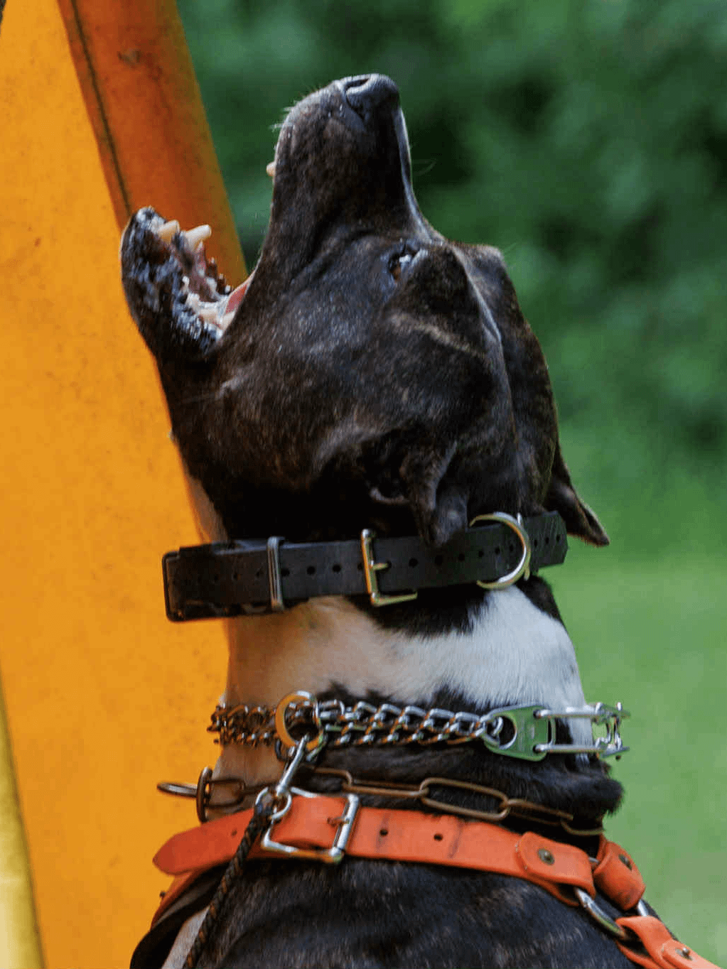 Disrespect Your Surroundings - Champion Hoodie product image (6)