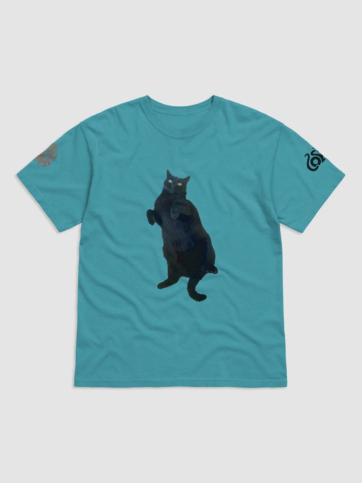 Cosmo Tummy (T-Shirt) product image (49)