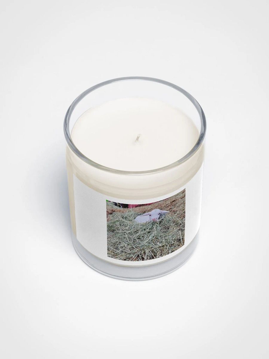Whiskey's nest product image (3)