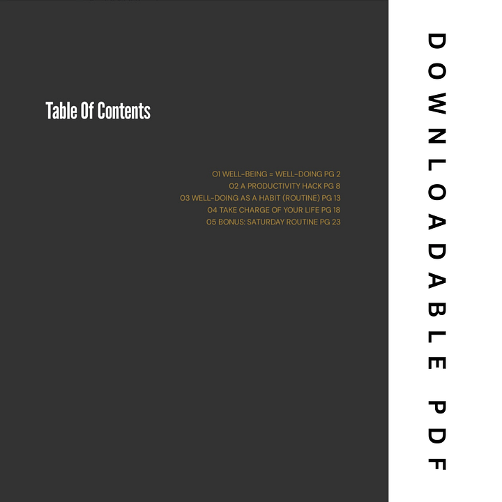 Daily Routine Productivity Toolkit (PDF) product image (2)