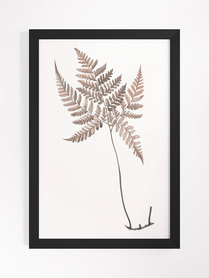 Ecotone Fern #1 Framed Print product image (1)