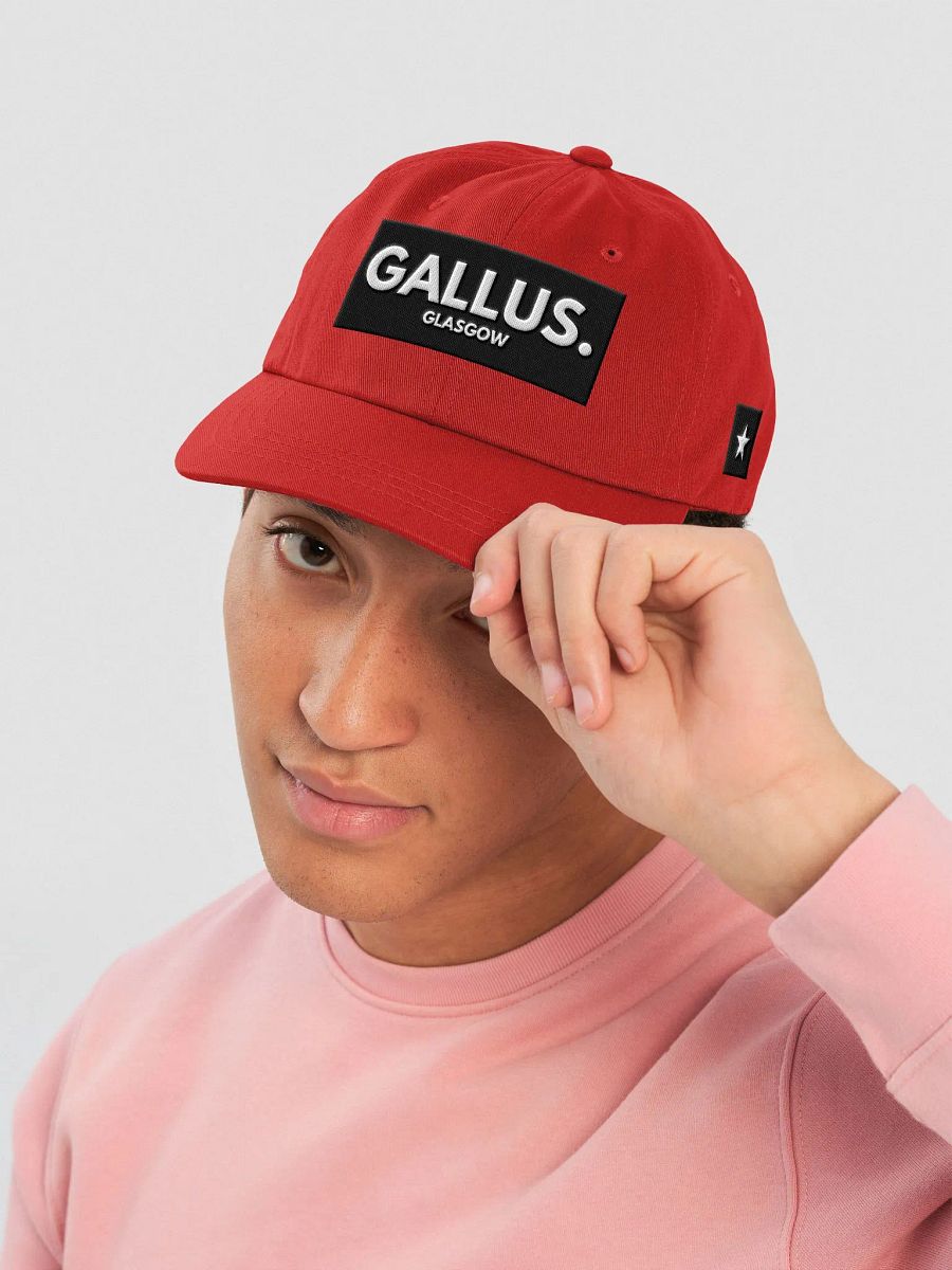 Gallus Hats product image (5)