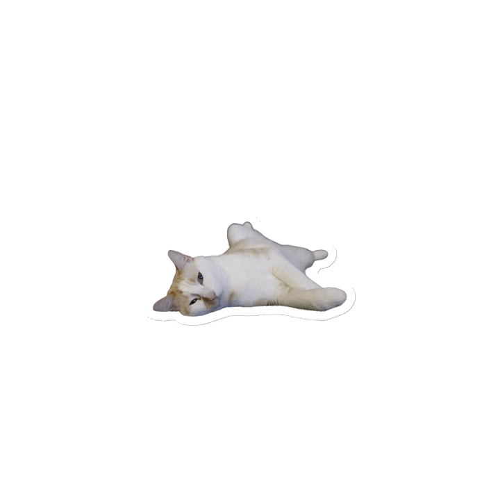 Potato Chip Die-Cut Magnet product image (1)