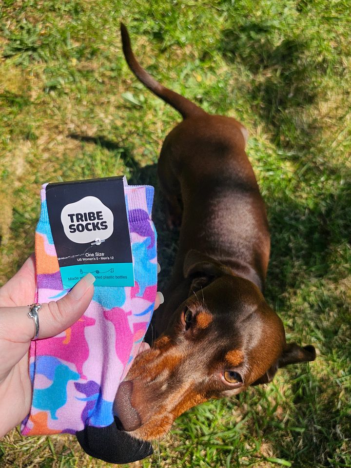 Hughie Pastel Camo Crew Socks! product image (2)