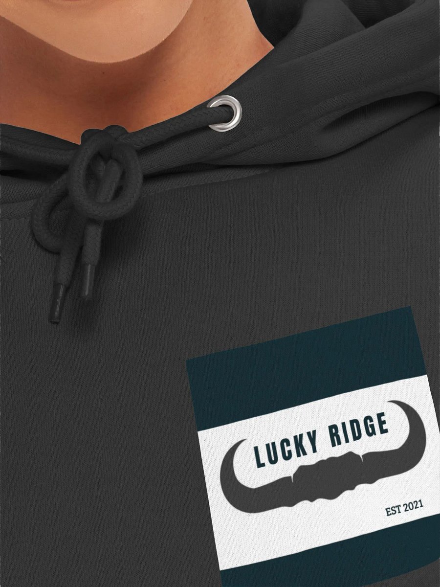 Lucky Ridge Pullover Hoodie product image (28)