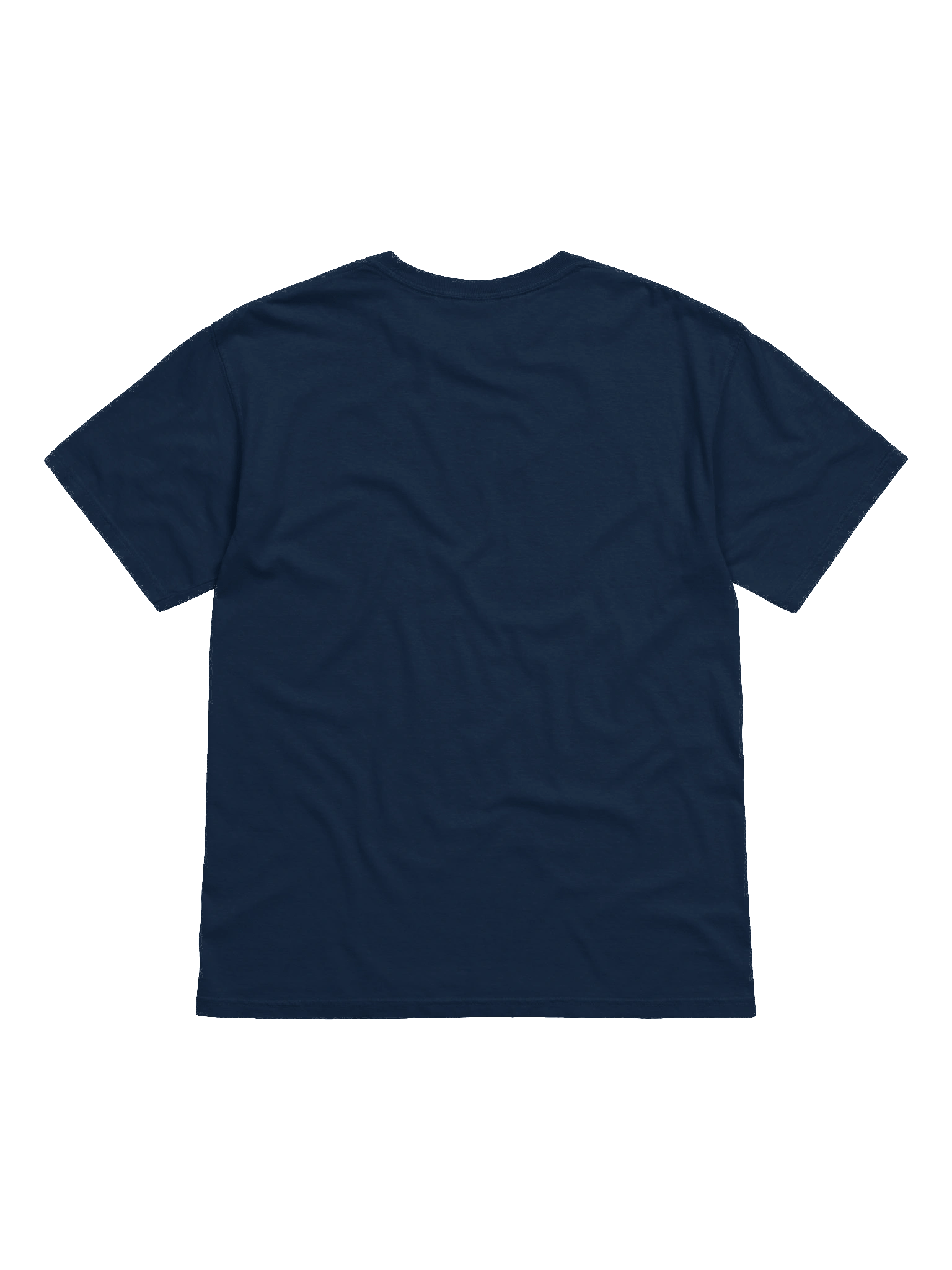BJJ Shirt product image (2)