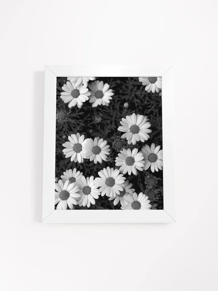 Daisy Flowers - Framed High-Quality Matte Poster product image (1)