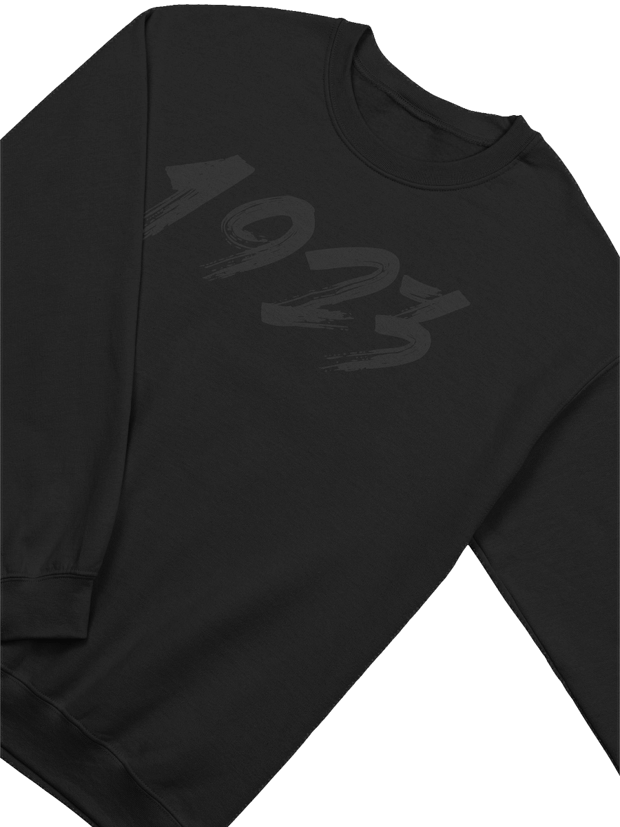 1 product image (25)