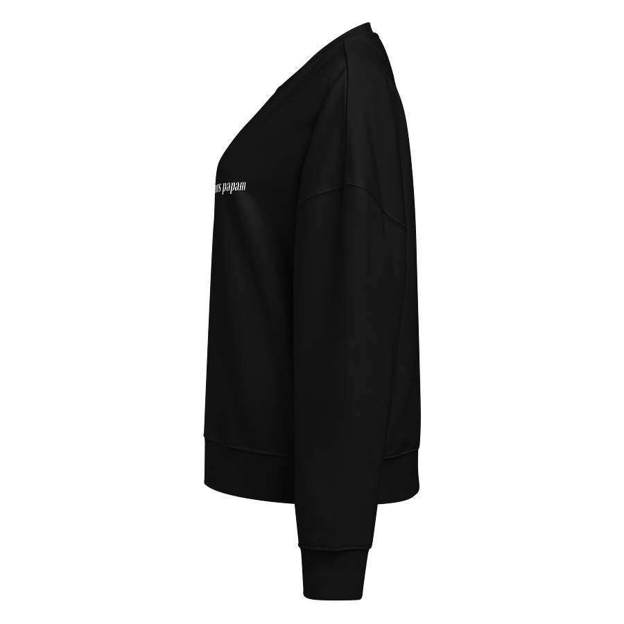 habemus papam "we have a pope" crewneck product image (3)