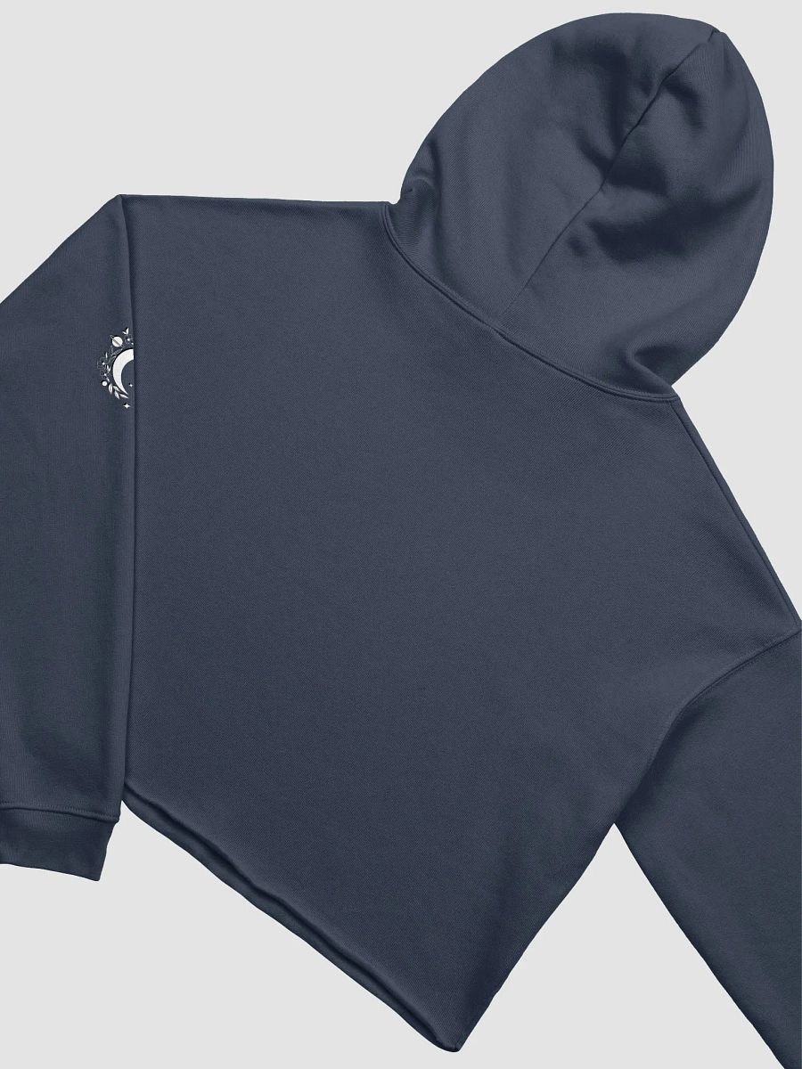 Yapper's Gate Group Cropped Hoodie product image (28)